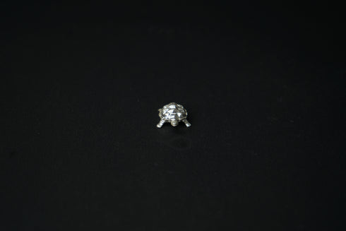 Pure Silver Tortoise Idol 6.76 grams